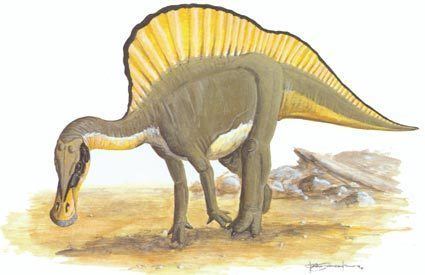 Ouranosaurus Ouranosaurus HowStuffWorks