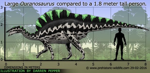 Ouranosaurus Ouranosaurus
