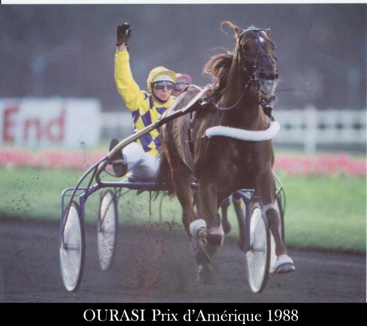 Ourasi Les trotteurs franais 13 Les champions annes 1980 Ourasi