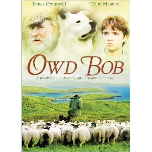 Owd Bob (1998 film) Amazoncom Owd Bob James Cromwell Colm Meaney Jemima Rooper