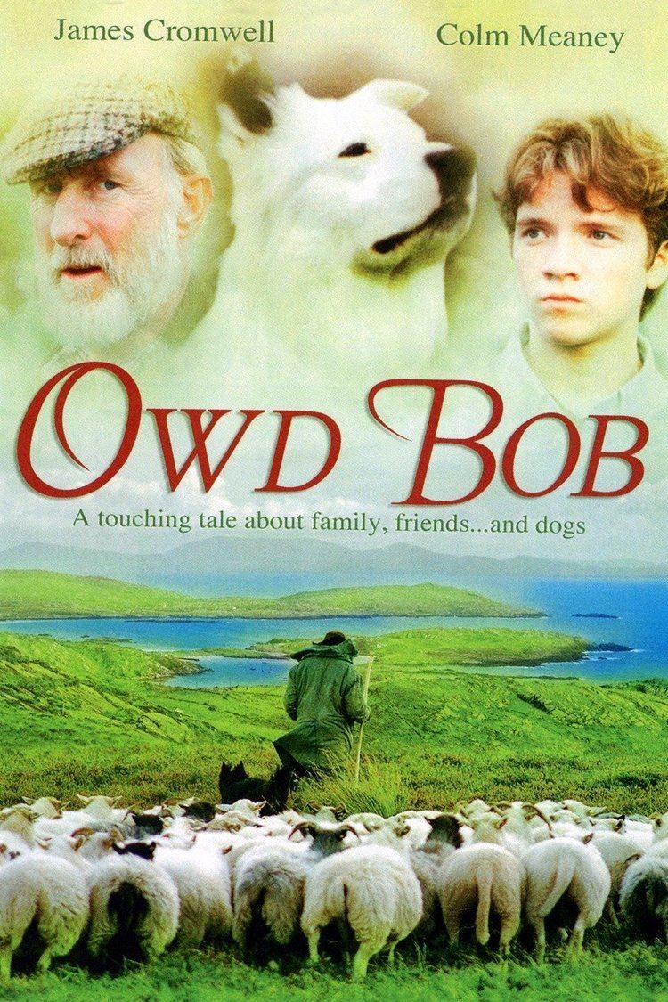 Owd Bob (1998 film) wwwgstaticcomtvthumbmovieposters24993p24993
