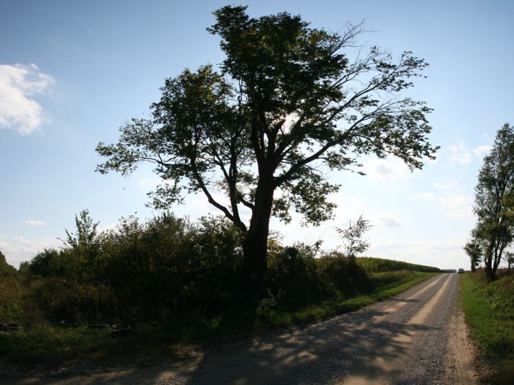 Owen Township, Clinton County, Indiana