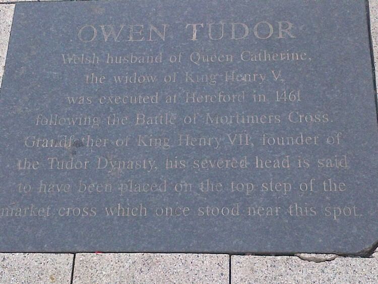 Owen Tudor Owen Tudor Father of a Dynasty Nathen Amin
