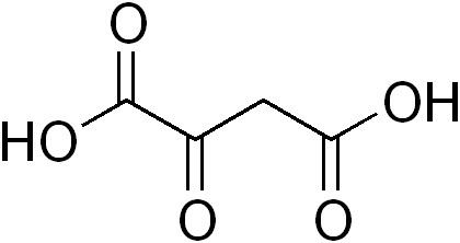 Oxaloacetic acid Oxaloacetic acid Wikipedia