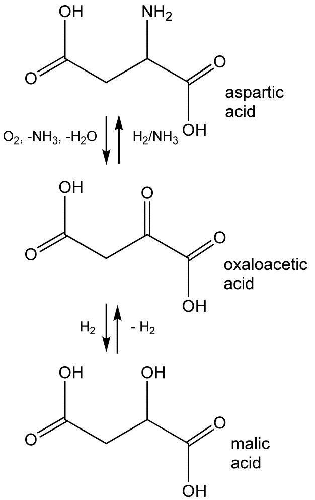 Oxaloacetic acid Oxaloacetic acid Wikiwand