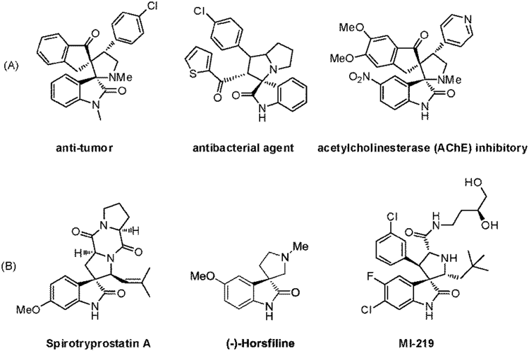 Oxindole Catalytic asymmetric construction of spiropyrrolidine23oxindole