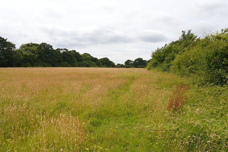 Oxley Meadow