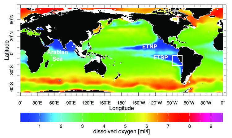 Oxygen minimum zone GeoGarage Acoustic observation of living organisms reveals the