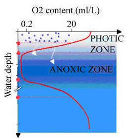 Oxygen minimum zone OceanicOxygenProfile