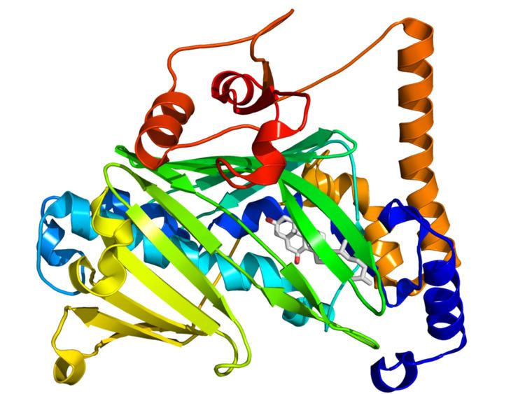 Oxysterol-binding protein