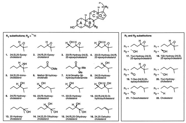 Oxysterol Structural requirements of ligands for the oxysterol liver X
