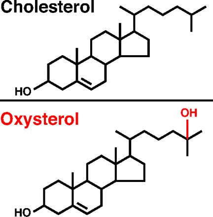 Oxysterol In This Issue