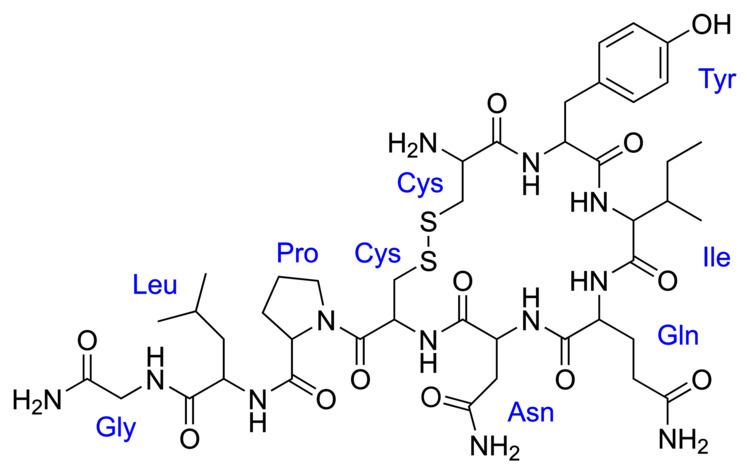 Oxytocin FileOxytocinsvg Wikimedia Commons