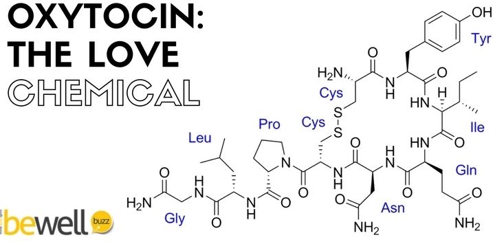 Oxytocin Oxytocin The Warm Fuzzies of Brain Chemistry BeWellBuzz