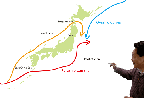 Oyashio Current 001