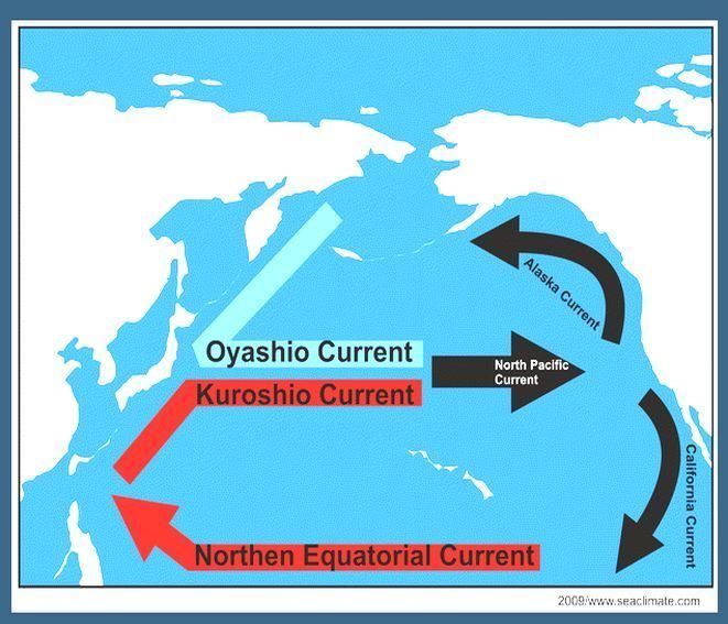 Oyashio Current Seaclimatecom