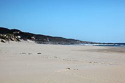 Oyster Bay, Eastern Cape httpsuploadwikimediaorgwikipediacommonsthu