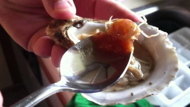 Oyster crab Eating Raw Oyster Crab YouTube