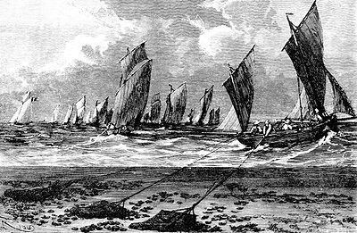 Oyster Wars Oyster Wars Maryland History by the Object