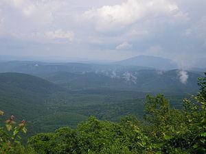 Ozark Mountain forests httpsuploadwikimediaorgwikipediacommonsthu