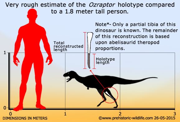 Ozraptor Ozraptor