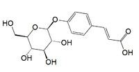 P-Coumaric acid glucoside httpsuploadwikimediaorgwikipediacommonsthu