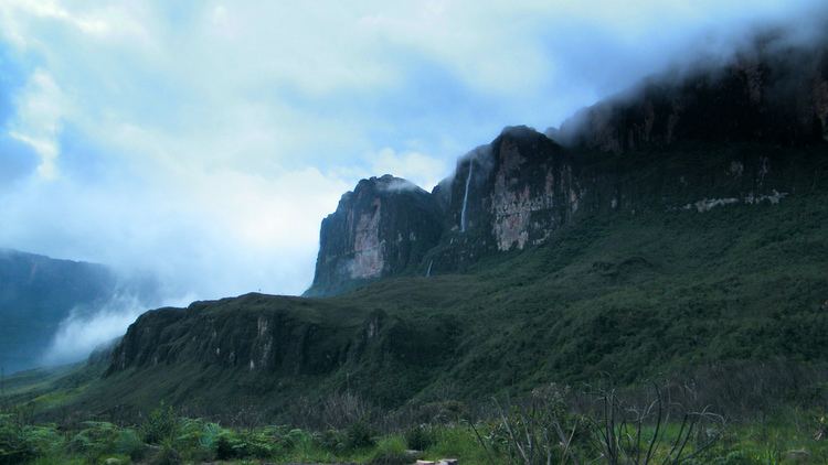 Pacaraima Mountains httpsuploadwikimediaorgwikipediacommonsee