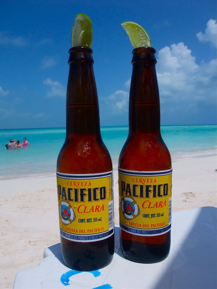 Pacífico (beer) Mexican beers are the GOAT srs Bodybuildingcom Forums