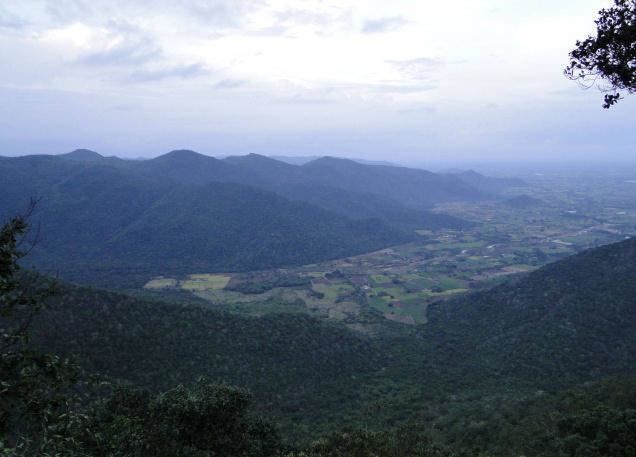Pachaimalai Hills Salem Tourism Tourist places in SalemTamil Nadu Pachamalai Hills