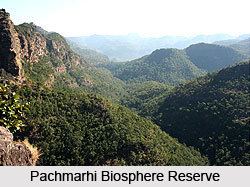 Pachmarhi Biosphere Reserve Biosphere Reserve Madhya Pradesh