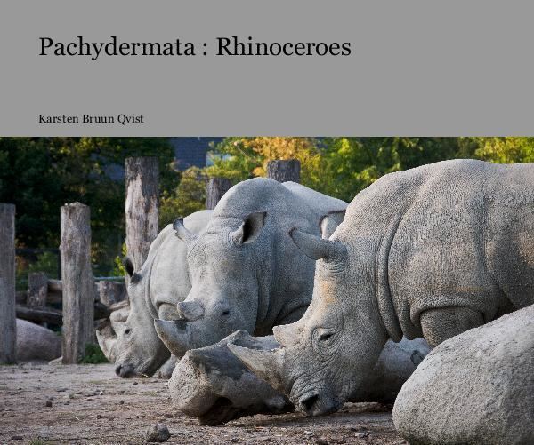 Pachydermata Pachydermata Rhinoceroes by Karsten Bruun Qvist Blurb Books