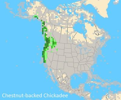 Pacific Coast Ranges Improving your eBird reporting skillsChickadees eBird