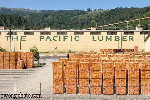 Pacific Lumber Company wwwrwongphotocomRW4671webjpg