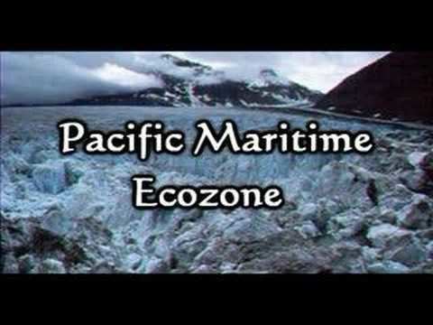 Pacific Maritime Ecozone (CEC) Pacific Maritime Ecozone YouTube