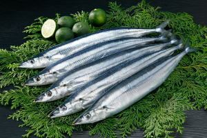 Pacific saury Sanma no Sashimi Pacific Saury Sashimi Japanese Food Guide Oksfood