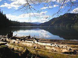 Packwood Lake httpsuploadwikimediaorgwikipediacommonsthu