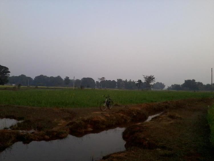 Padar, Mauganj, Madhya Pradesh