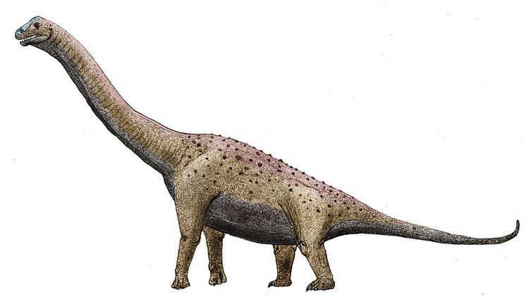 Padillasaurus padillasaurus DeviantArt