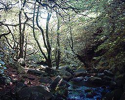 Padley Gorge httpsuploadwikimediaorgwikipediacommonsthu