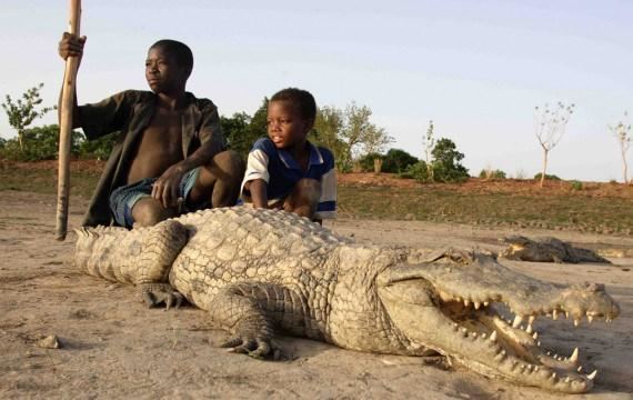 Paga Crocodile Pond Paga Crocodile Pond Seek Ghana