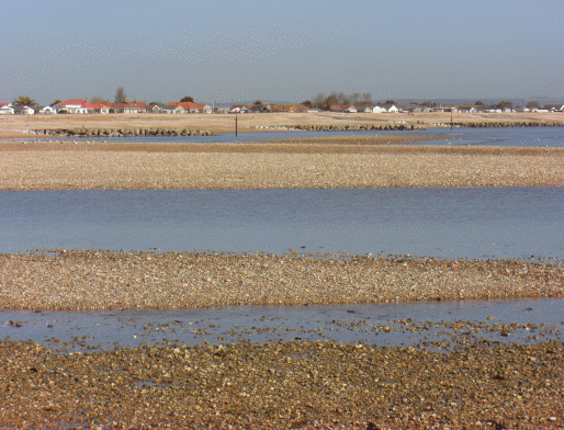 Pagham Harbour wwwwestsussexinfosussexpicturespaghamharbour5gif
