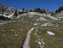 Paintbrush Canyon Trail httpsuploadwikimediaorgwikipediacommonsthu