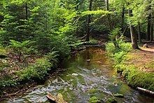 Painter Creek httpsuploadwikimediaorgwikipediacommonsthu