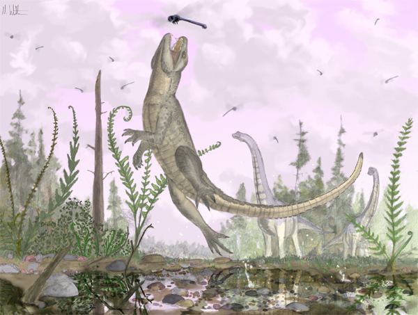 Pakasuchus Pakasuchus An Ancient Crocodile and Mammal Wannabe