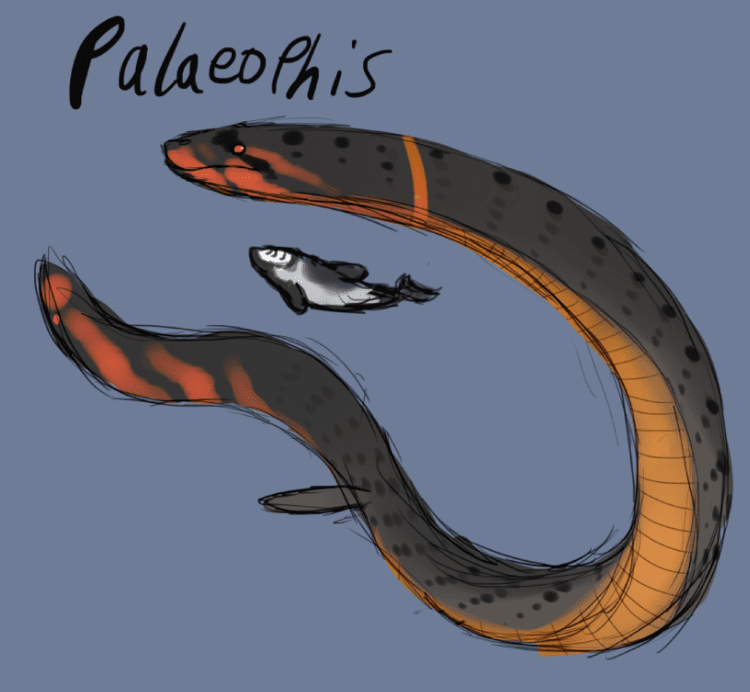 Palaeophis Palaeophis by Spikeheila on DeviantArt
