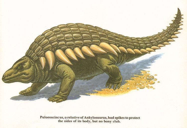 Palaeoscincus Palaeoscincus From quotAnkylosaurusquot published by Rourke wi Flickr