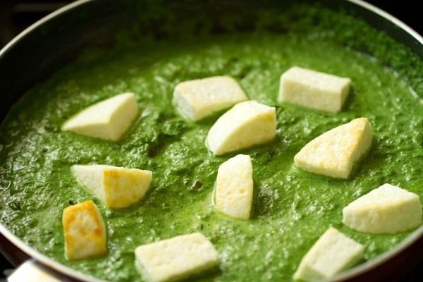 Palak paneer palak paneer recipe restaurant style how to make palak paneer recipe