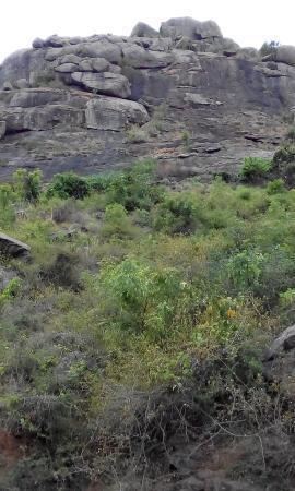 Palamathi Hills httpsmediacdntripadvisorcommediaphotos08