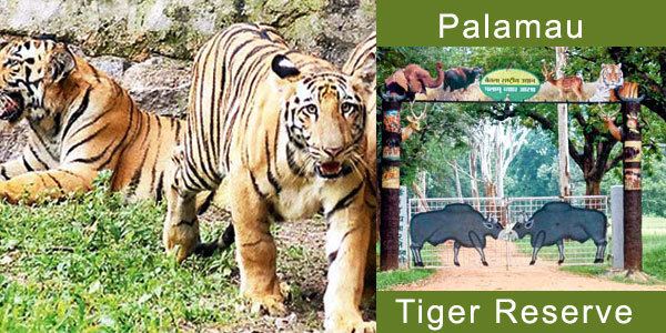 Palamau Tiger Reserve Travel Got Easy
