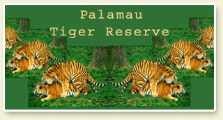 Palamau Tiger Reserve palamau tiger reserve wildlife in bihar indian national parks